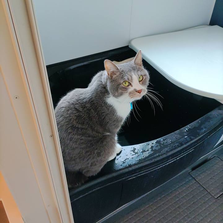 Cc2bc510 6c70 465e a325 516f993f0c60 1677992237737