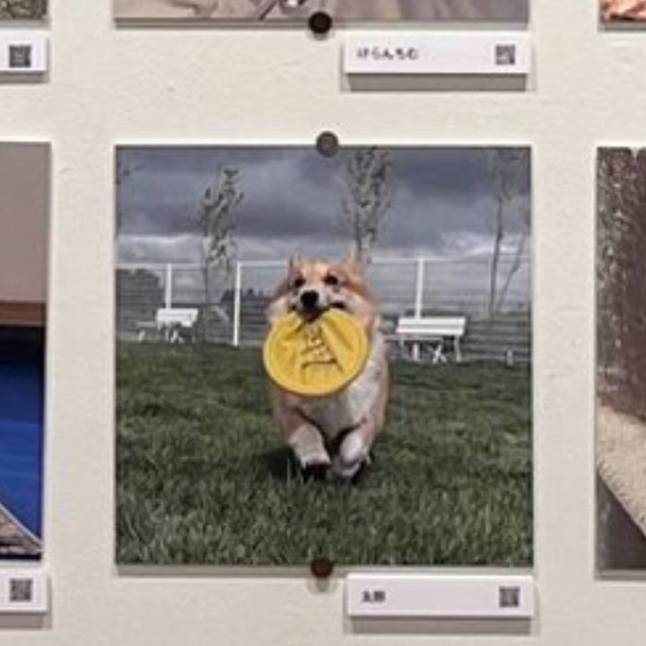 Cc2bc616 e918 47c5 913d 460c04e1a2fb 1766218700635