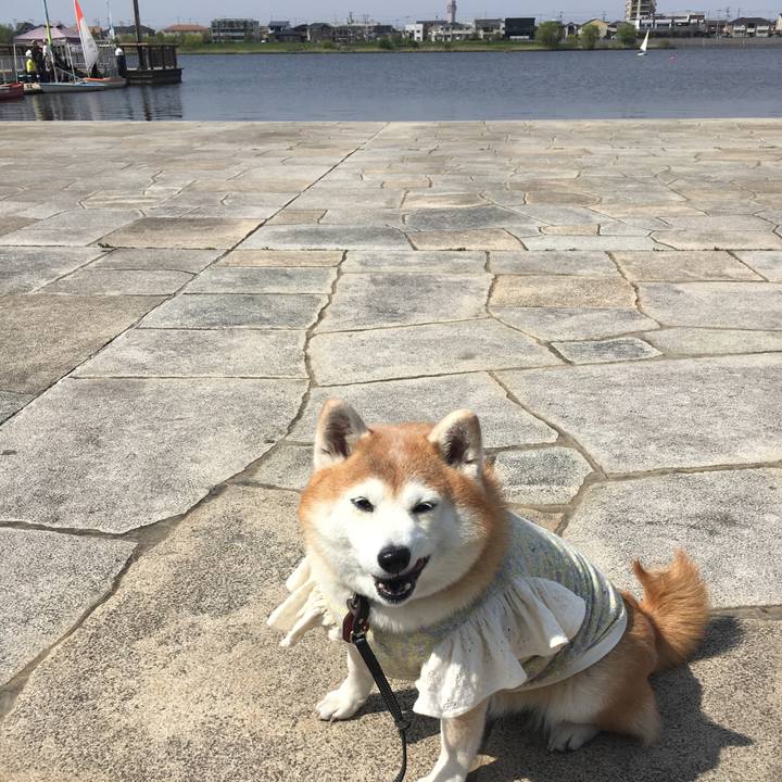 Cc2bdbdd 6750 45e2 a4c5 f344733cdd95 1557120974031