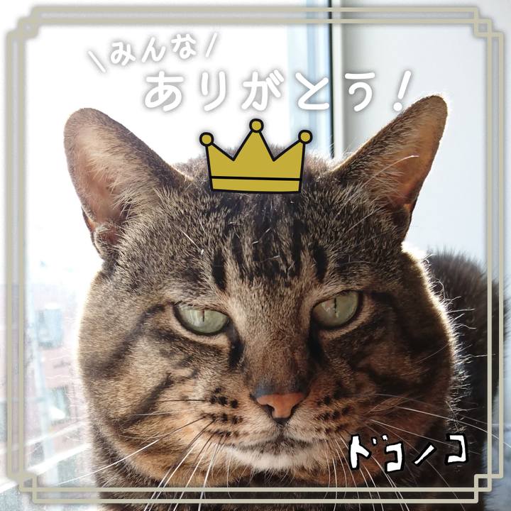 Cc2bed78 df9b 49c7 83dd fc03ec8129b7 1623020250766