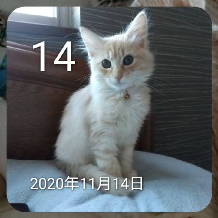 Cc2c055d d7c1 49a1 8694 dfcb9a49430c 1699913441369