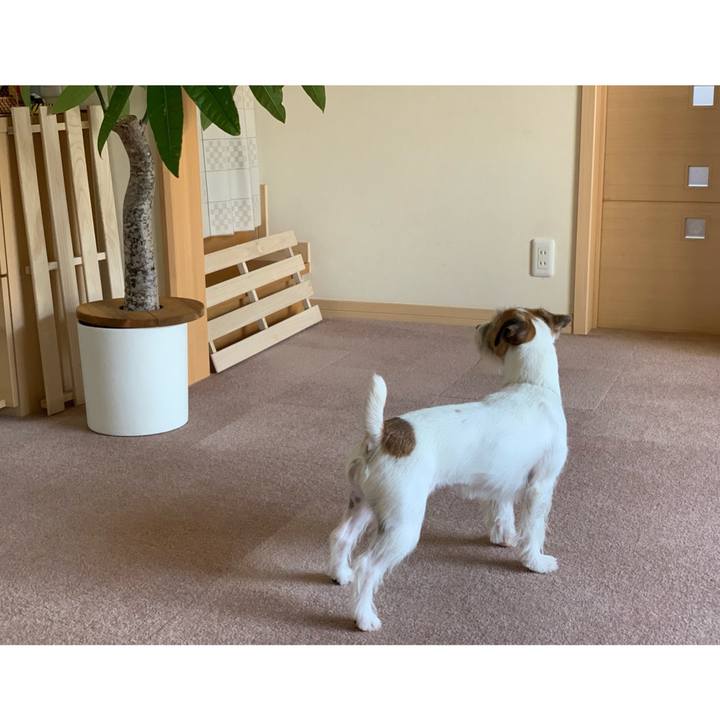 Cc2c12e9 cf9c 489b 95a0 8ff75c7afe89 1586910538113