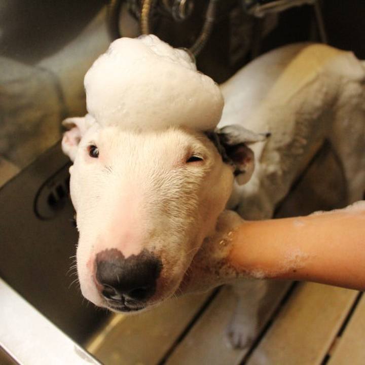 Cc2c6ec9 58be 4677 b3c9 6edb8c1397e2 1526610887373