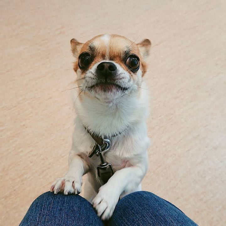 Cc2ca056 0810 46b9 9232 ae54c689c03f 1618195865587