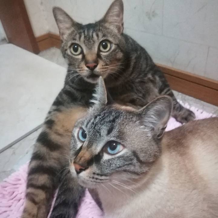 Cc2cb530 cbe6 444e 9e74 03eab4491b11 1562167224879