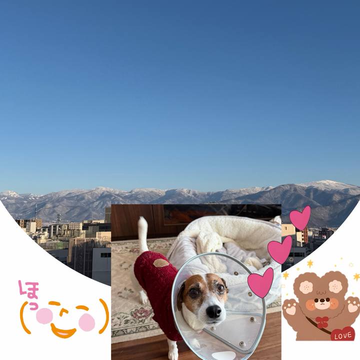 Cc2cb72e 48b5 48cf 91c8 26101a411e9d 1766818395366