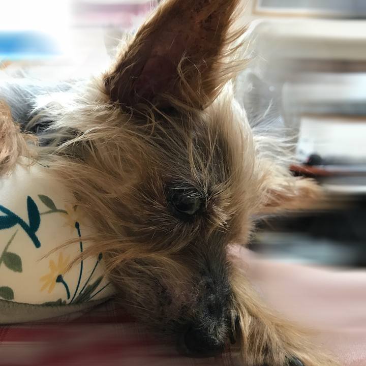 Cc2cc981 412a 403c bdb8 9a60ff7c143e 1534652946753