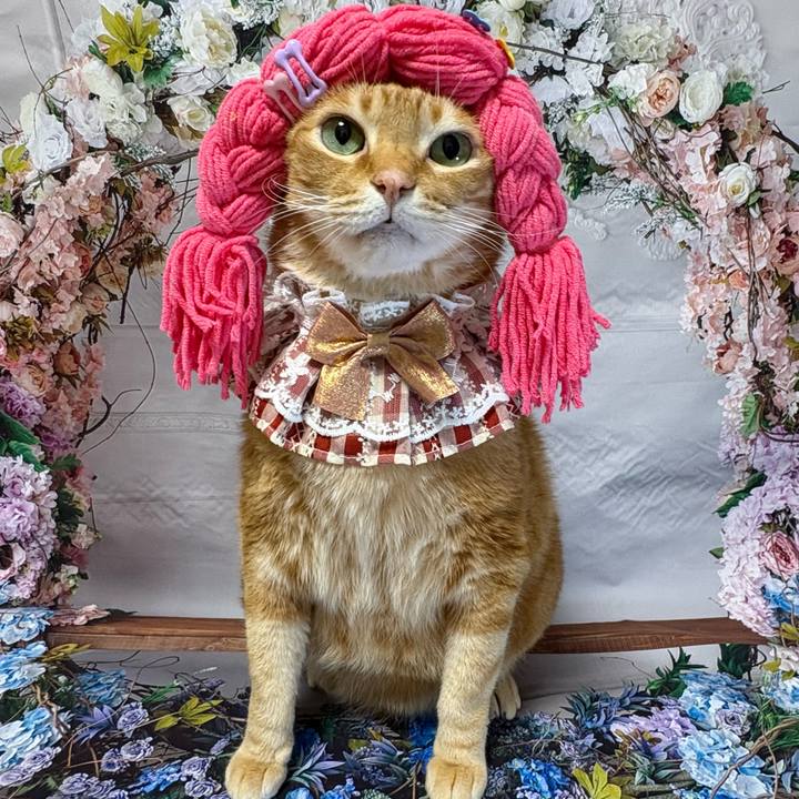 Cc2cf902 3f0e 42ae bff8 29a6ae1168f4 1769118967724