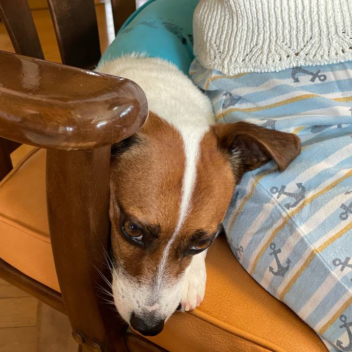 Cc2d17b5 5e77 4261 be9d 81e580e1c289 1626924809198