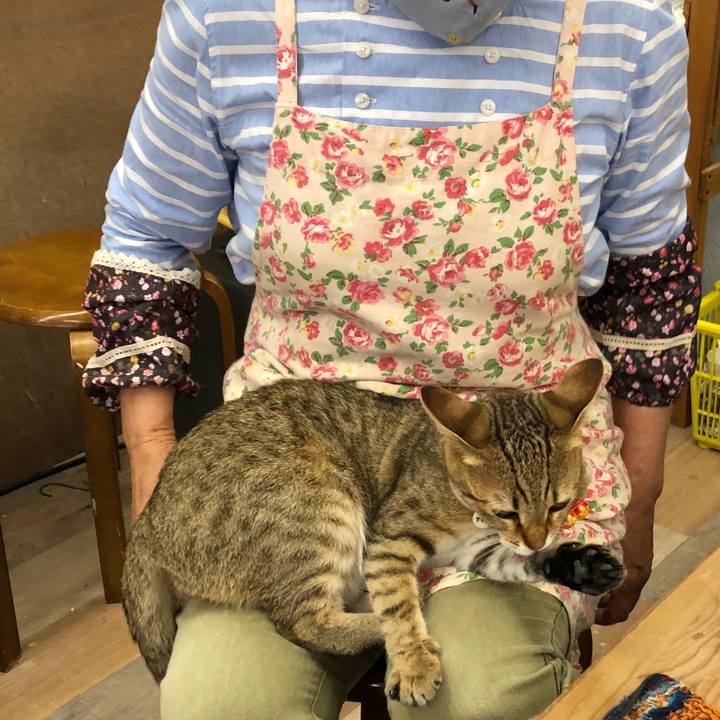 Cc2d27b1 e78f 4909 9c59 f3d16d34e3a0 1589622103351