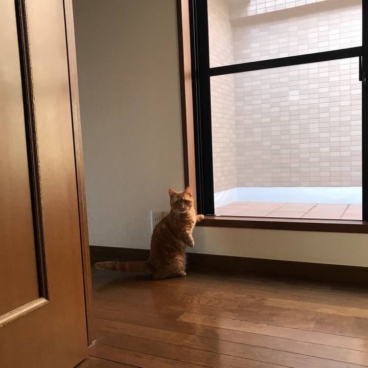 Cc2d47c7 9fc6 4c5c 911d 109400827fd0 1528502993618