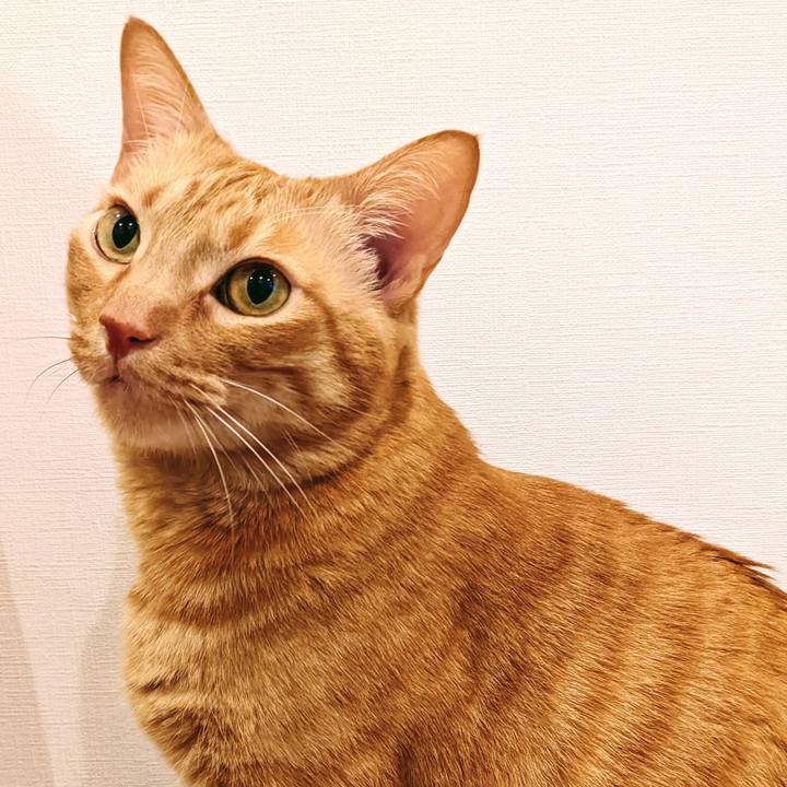 Cc2d6860 93e5 4a84 ba3b 5d4d3373c122 1640268972657