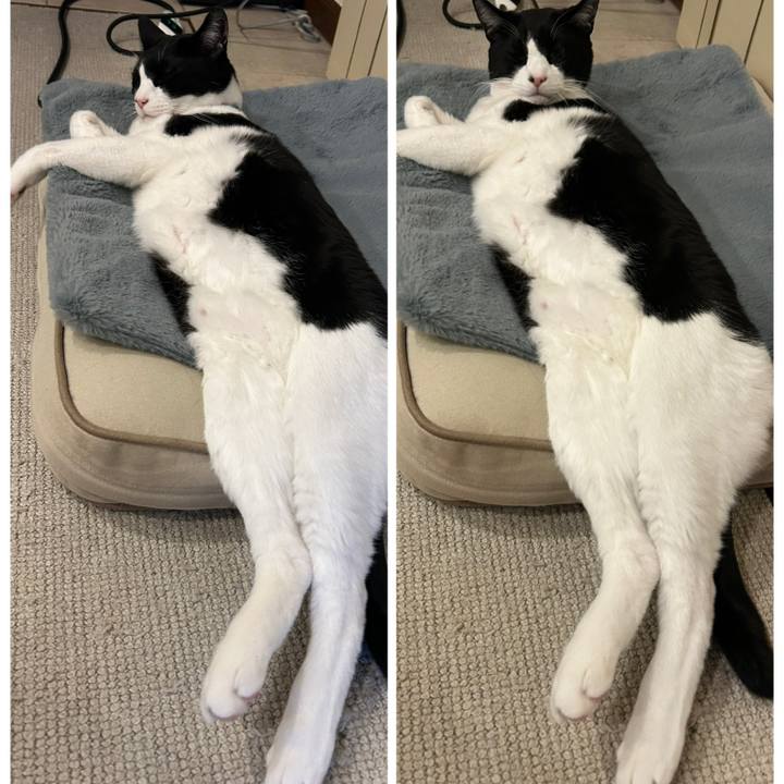 Cc2dc159 8cb4 41f1 80cf 1f92f6822faa 1773063789219