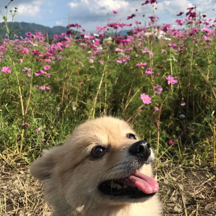 Cc2dc856 6c84 4fdf 8d95 baf64f3379d1 1573643986687