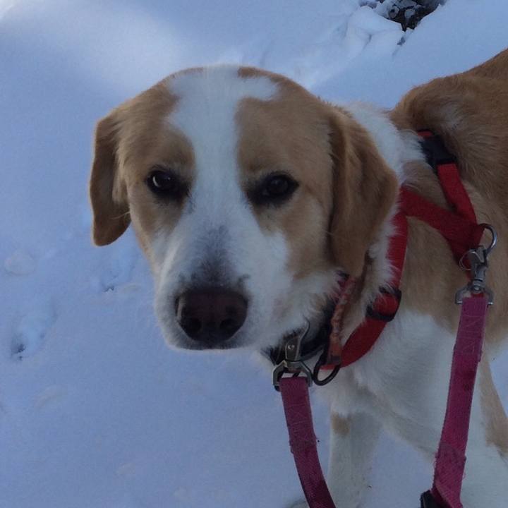 Cc2de1ae 2eb3 4ce5 a519 75ff1f6f769b 1516883298637