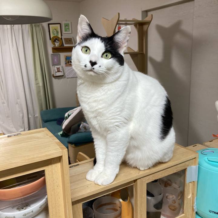 Cc2de791 4532 494e 93e7 0ab3df73624f 1774988394572