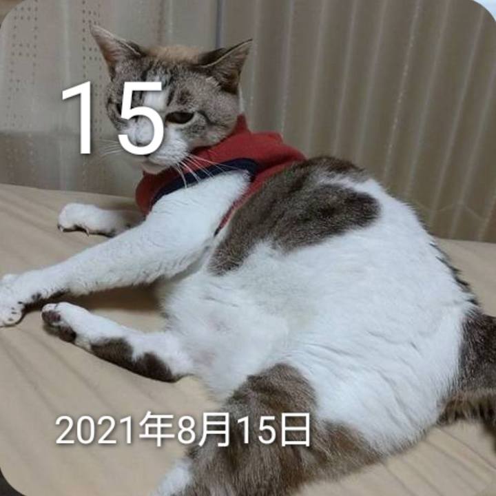Cc2ded15 74bf 4dfe 8d0c 9873522a1beb 1755225820917