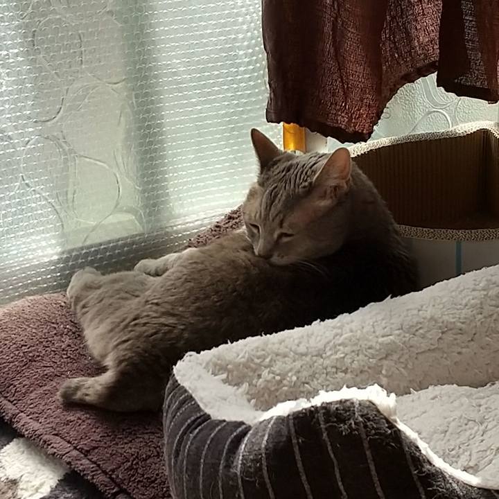 Cc2e03f5 68b6 4f05 9827 997b7318ebb9 1602381768136