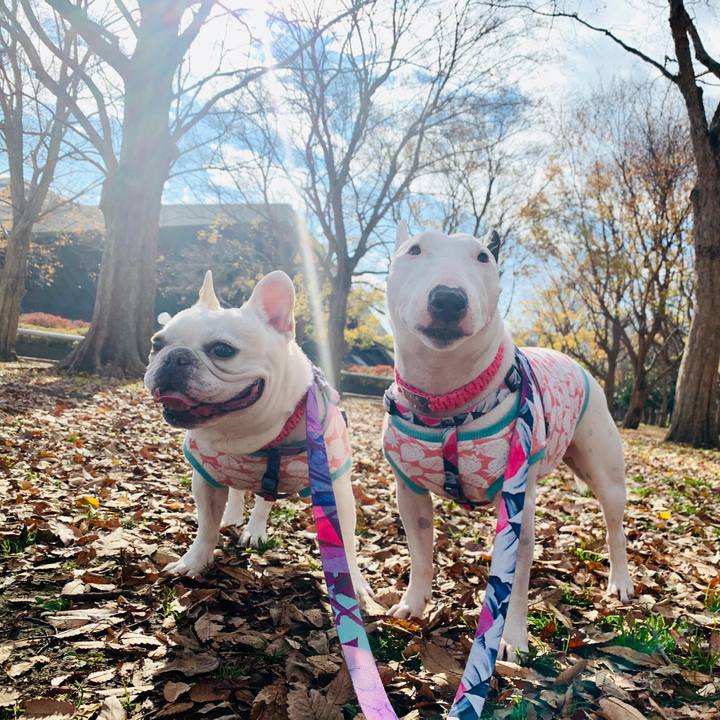 Cc2e04c7 953b 4113 9d4a abed7789bed7 1577838068581