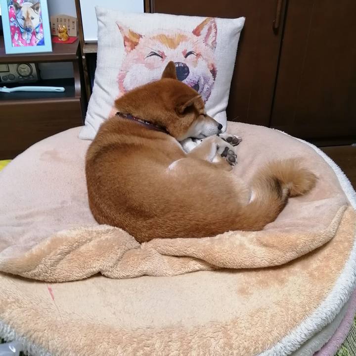 Cc2e3175 0c05 4cb2 b460 1973bf7c0b9e 1663412397507