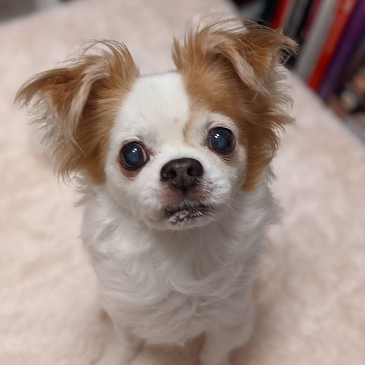 Cc2e37d2 d615 47b9 a5b6 01c5cb11f2b1 1637919422742