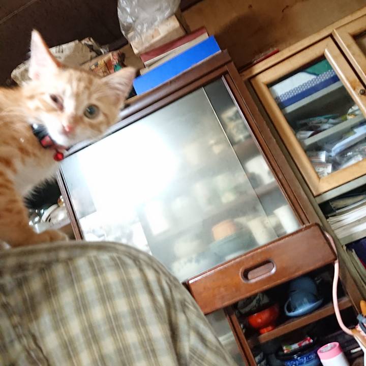 Cc2e6114 8b1e 4a47 9f6a 774579d842f4 1629547500622