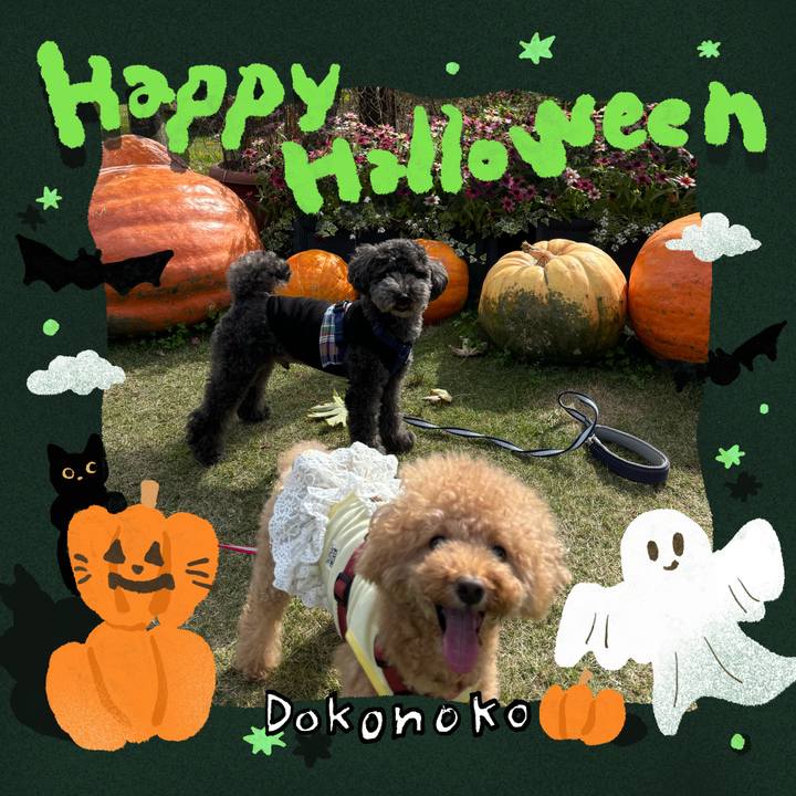 Cc2e74df e5be 49c6 8e49 873a53fd72e0 1730371321291