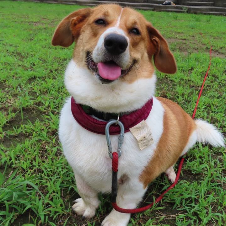 Cc2eae0b c316 4af0 aa09 61768c4e29a2 1626737822989