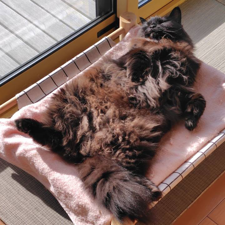 Cc2ede85 511c 46a1 9bfa 99ed8f041e4b 1767064022389