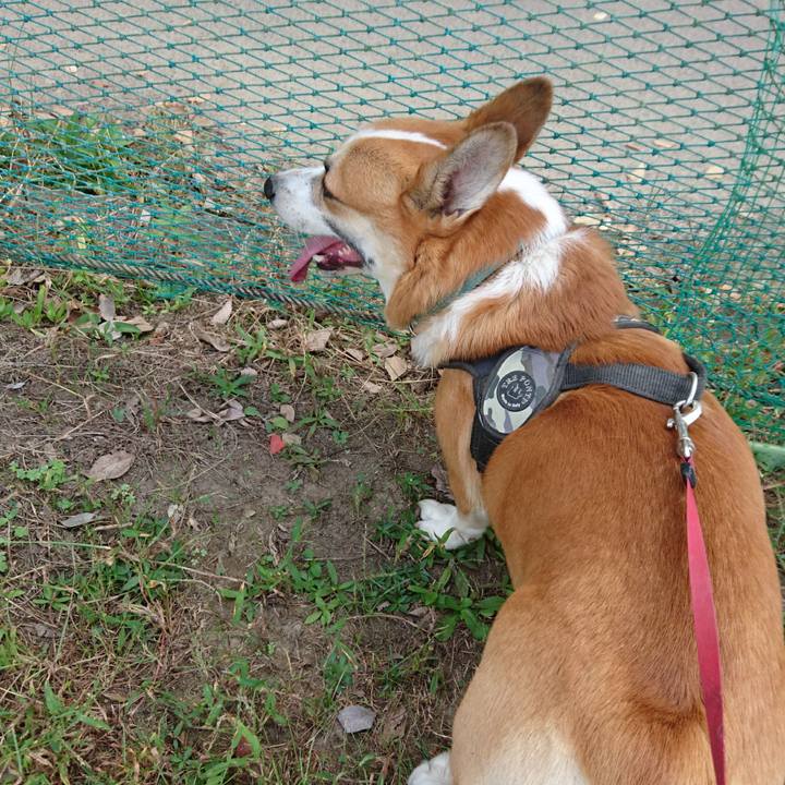 Cc2f5859 38e6 4a1d aa20 bbf006107618 1634023395503