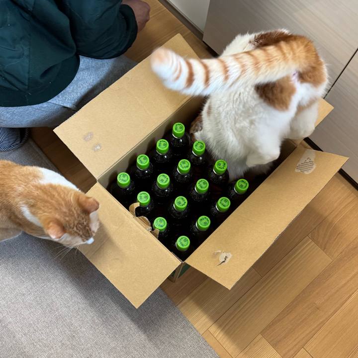 Cc2f7882 0b8f 455d b5ff 6cb59c6c1764 1775705304657