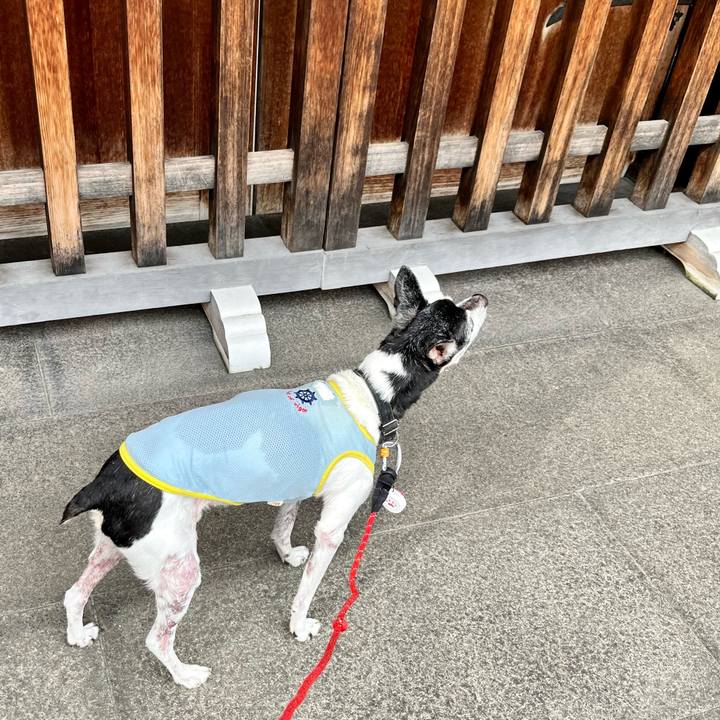 Cc2f8890 1604 4dcf b956 a83073a04328 1657925645073