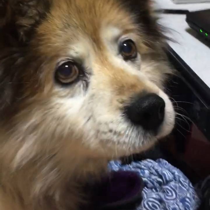 Cc2f90c7 2fe3 462e 92bd a1a7096e7b41 1602227005412