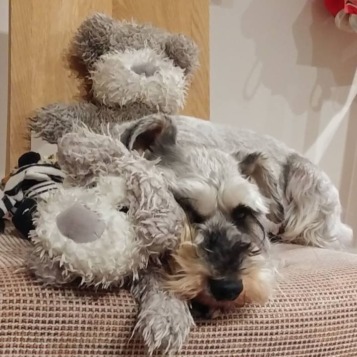 Cc2fb44d 389f 447e 9a82 ab35d29dfb36 1622208441073