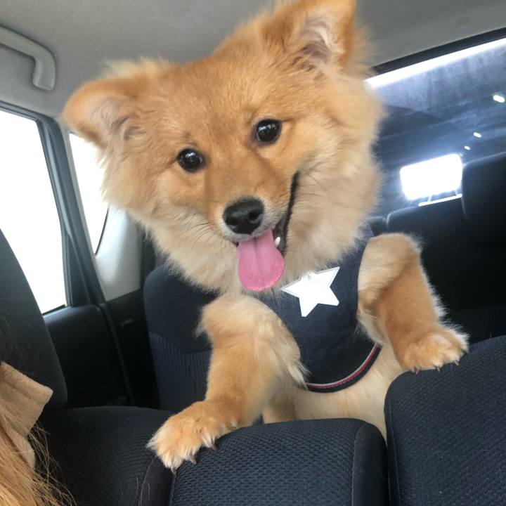 Cc2fe901 5f5f 4cdc 8cb2 1a76e7cb97c2 1584321956335