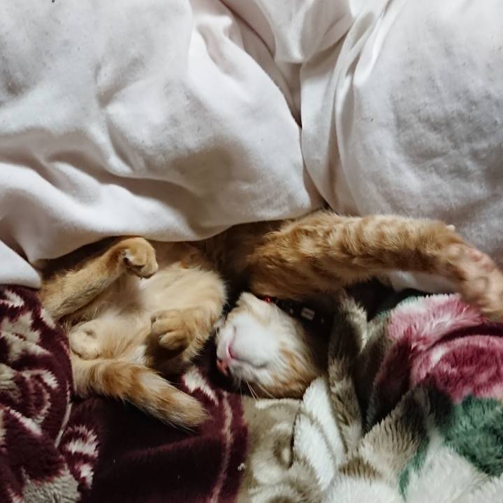 Cc3004e7 578c 4218 b4dd d02c6c296f81 1634562358903