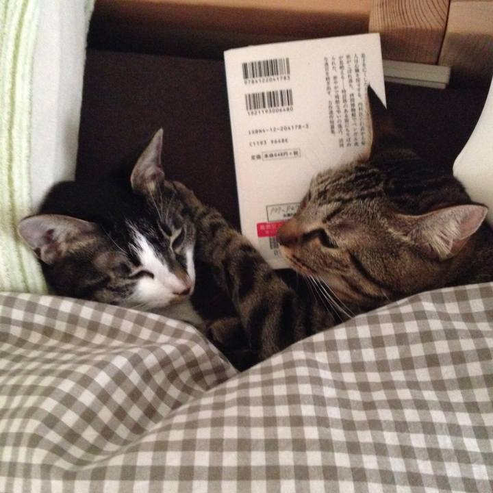 Cc304503 f7cb 402c 8e24 6b8a7e991010 1512358181752