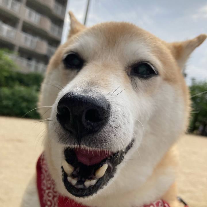 Cc305529 8b4c 449f b56e b9894d5b0765 1624437668636