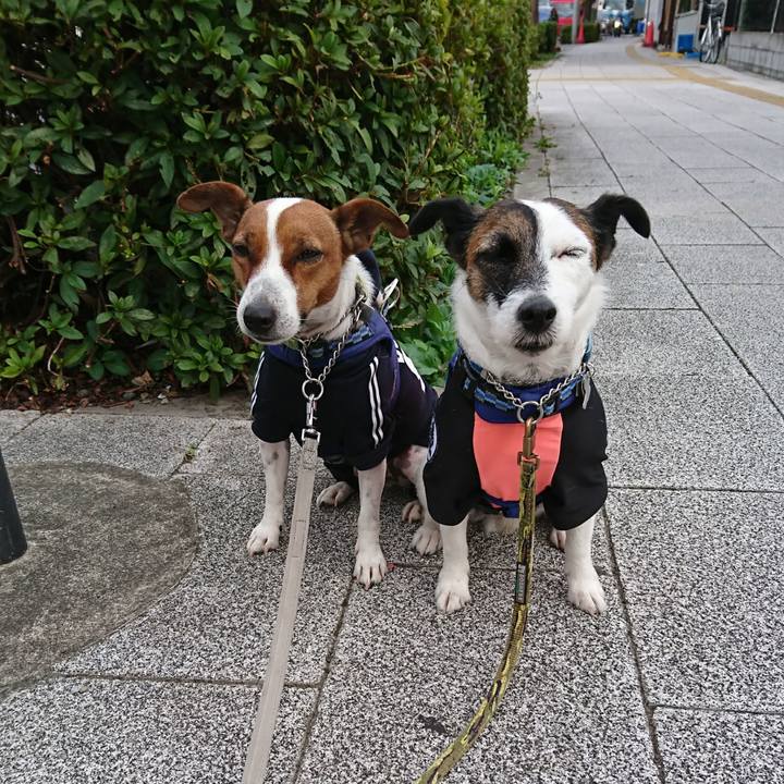 Cc30556c f390 4617 b337 1e00f5a95160 1601937125748