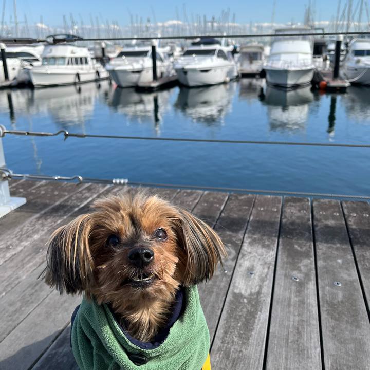 Cc30650e dec1 4c6d 9be8 727d74f12367 1710391121136