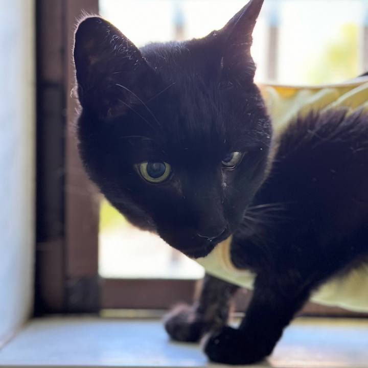 Cc306aa5 18ee 44ed 9cf4 705820fdf5f8 1716170888878