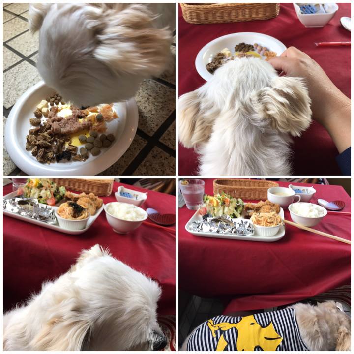 Cc30783e 9c49 415b 983b 0cd2a54344e8 1540614943557