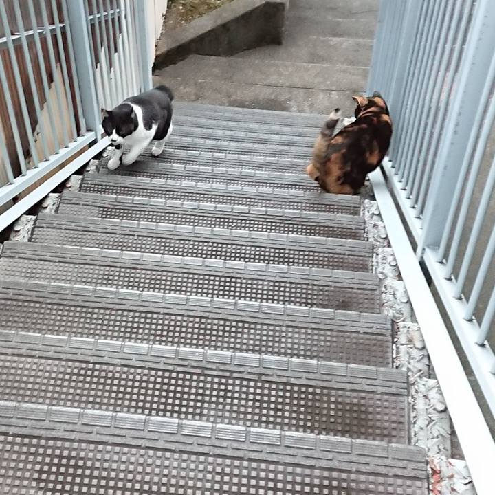 Cc30a2c5 9d2d 430f 9ede d54438d9cd2e 1668721499104