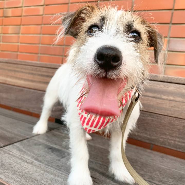 Cc30bff3 45e0 4fa9 a4b0 30c98b99afbd 1565693992284