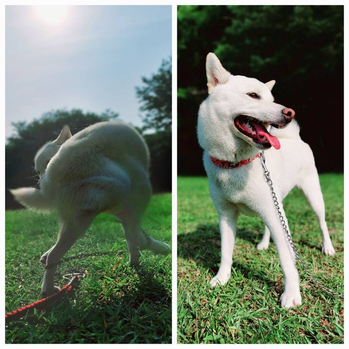 Cc30f977 35be 4e37 846f 265d57ffba03 1653347634817