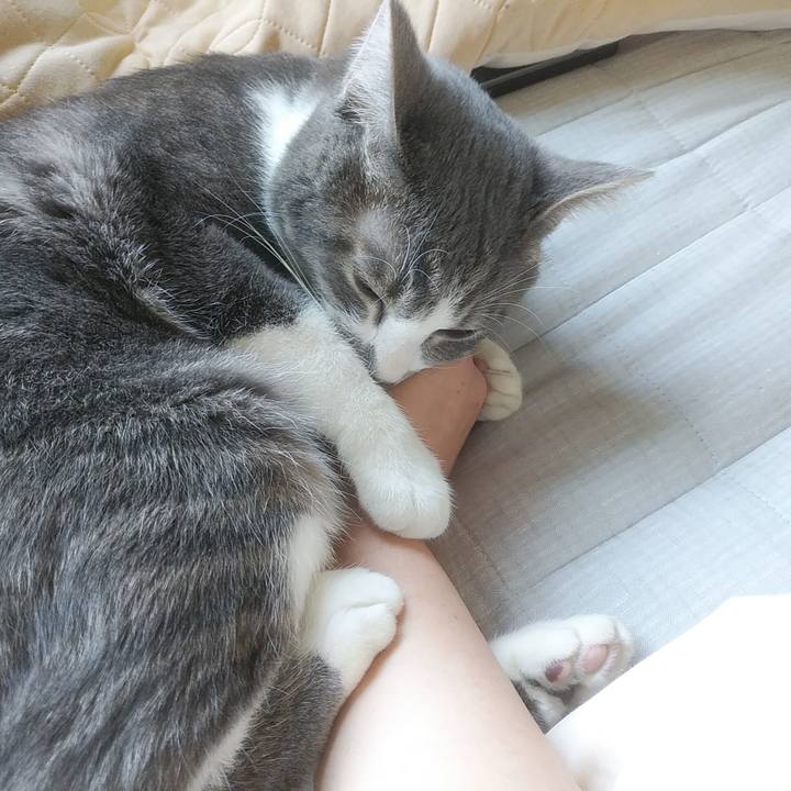 Cc3116ed 5f36 42b3 ab57 71580b976155 1587691158827