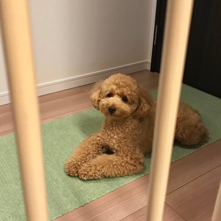 Cc314542 a798 450a 8fa6 409147ba90aa 1529667003947