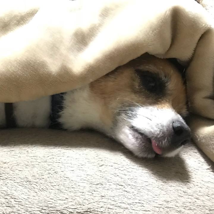 Cc3181f1 028b 41a8 b615 ef06daa1d0f9 1523750898433