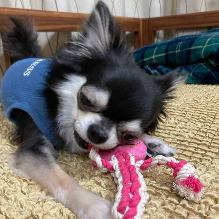 Cc31b2bb 5bd9 40c8 9cf0 d58de73b8417 1650121263883