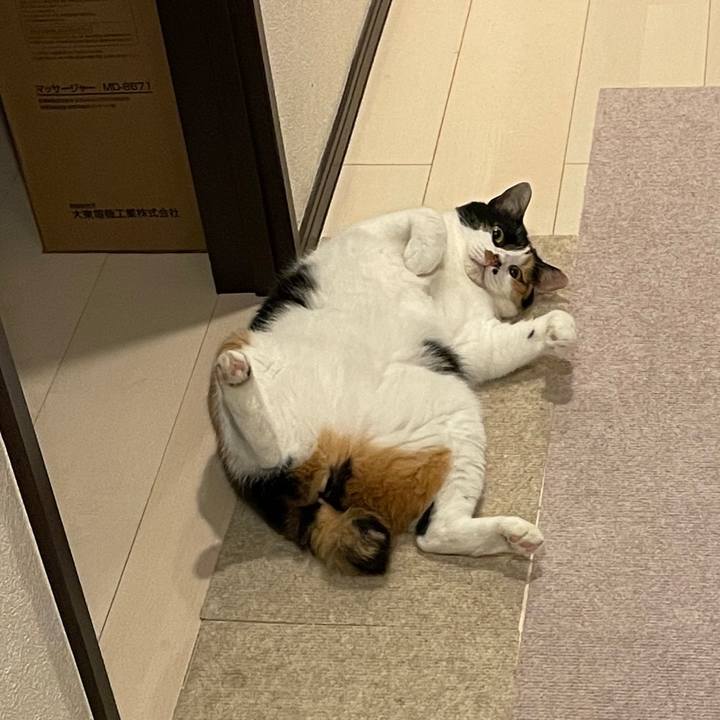 Cc3209f1 728c 4b8b 9c4b c9b4fa09de58 1623360104705